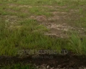 Flat Unique Serviced Plots