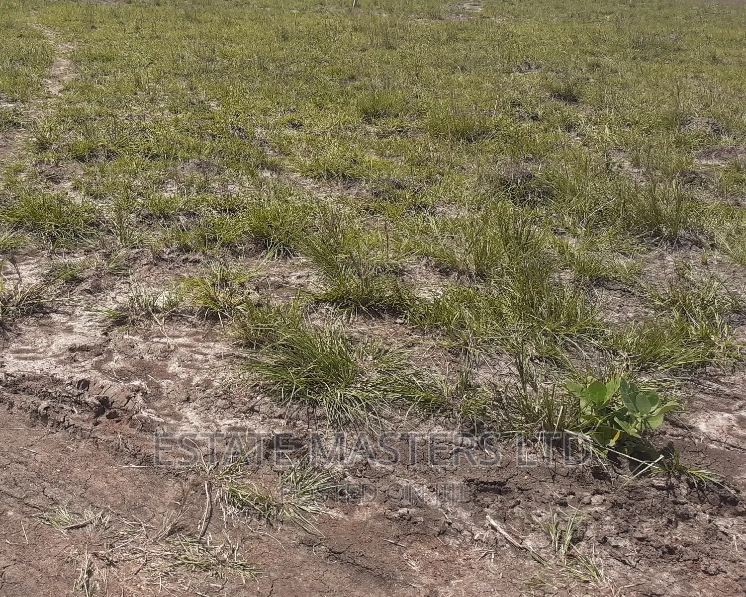 Flat Unique Serviced Plots