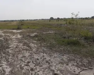 Invest in Litigation Free Land