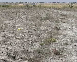 Invest in Litigation Free Land
