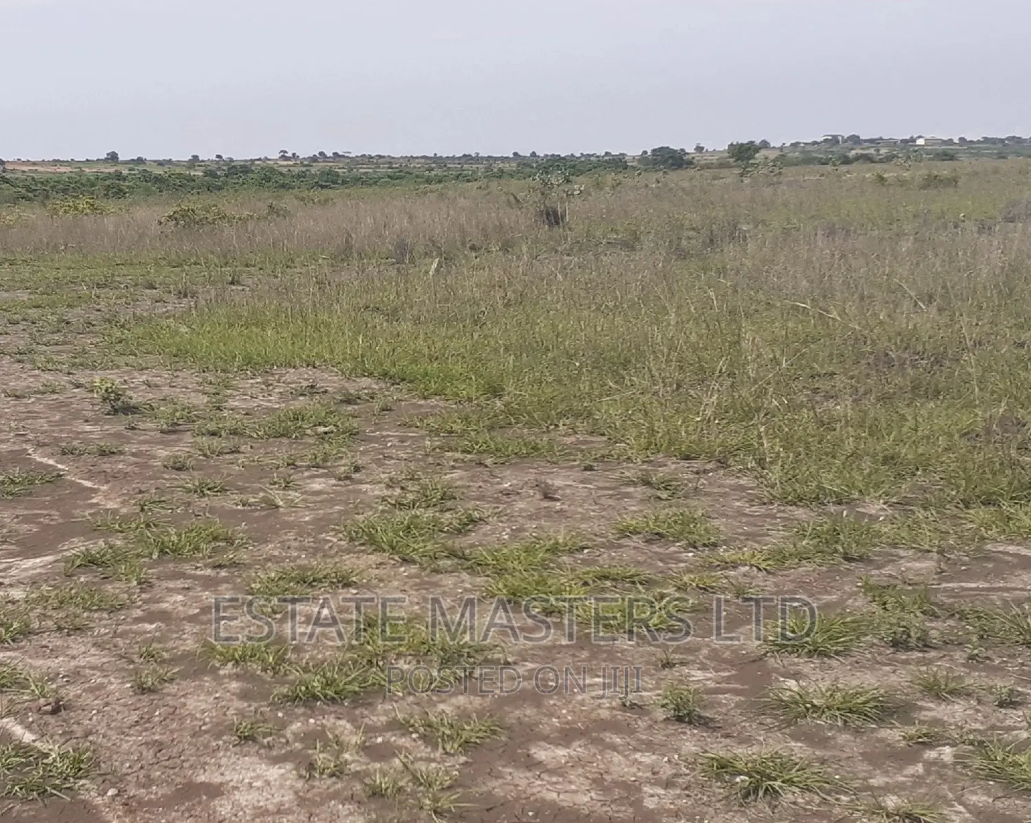 Estate Plot Sales