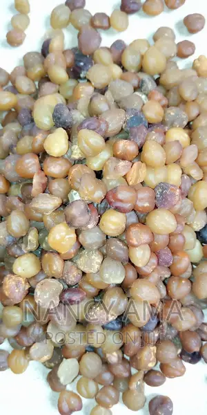 Akpi Seeds at Wholesale Price for Half Olunka