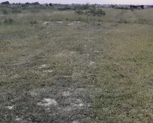New Airport City