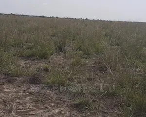 Residential Serviced Plot