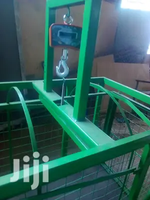 Pig Weighing Scale - Special Offer