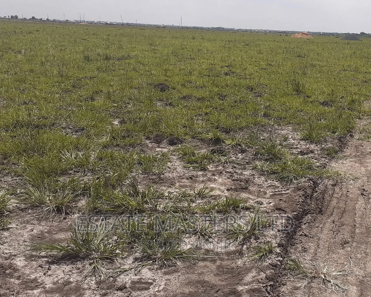 Nest Cottage Residential Plots