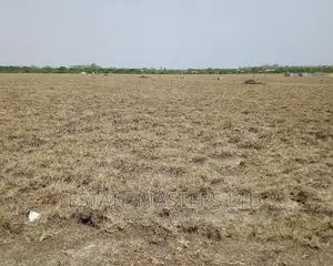 Nest Cottage Residential Plots