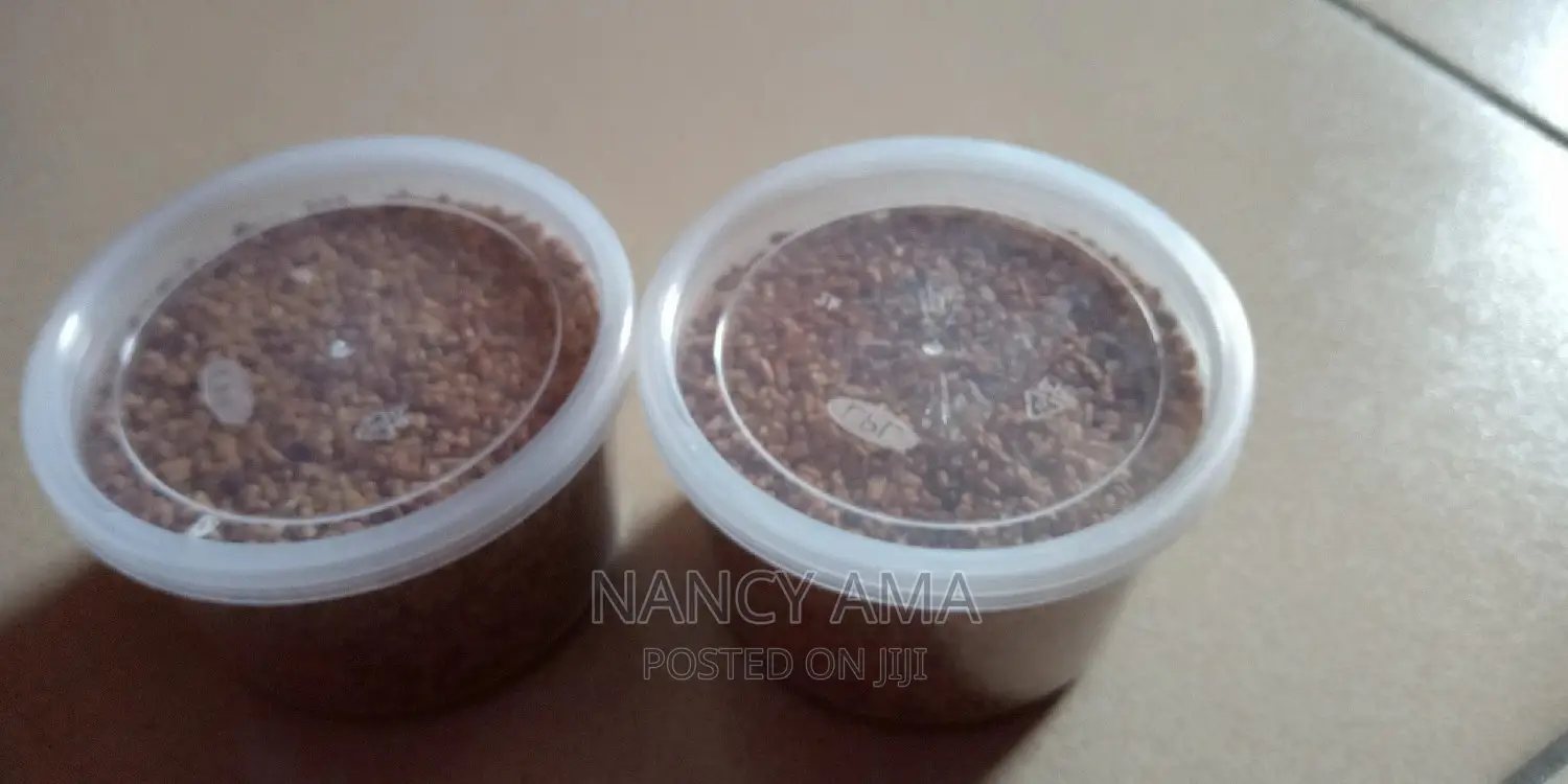 Fenugreek Seed in Achimota Feeds, Supplements & Seeds, Nancy Ama