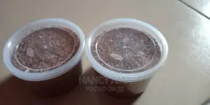 Fenugreek Seed