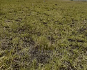 Tsopoli New Airport Area Land