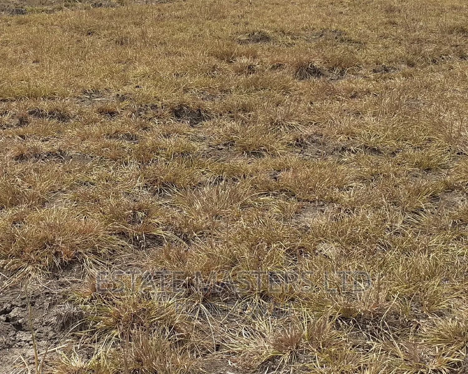 Tsopoli New Airport Area Land