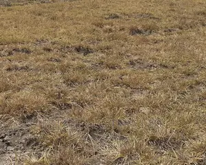 Tsopoli New Airport Area Land