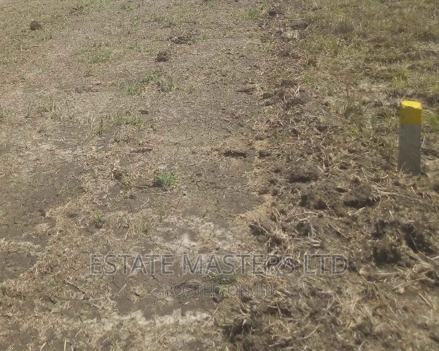 Estate Litigation Free Plots