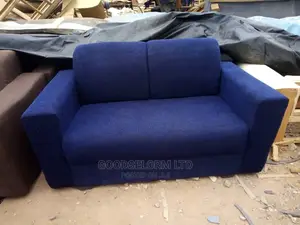 2in1 Sofa Furniture