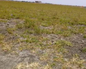 Commercial/Residential Airport Area Plot