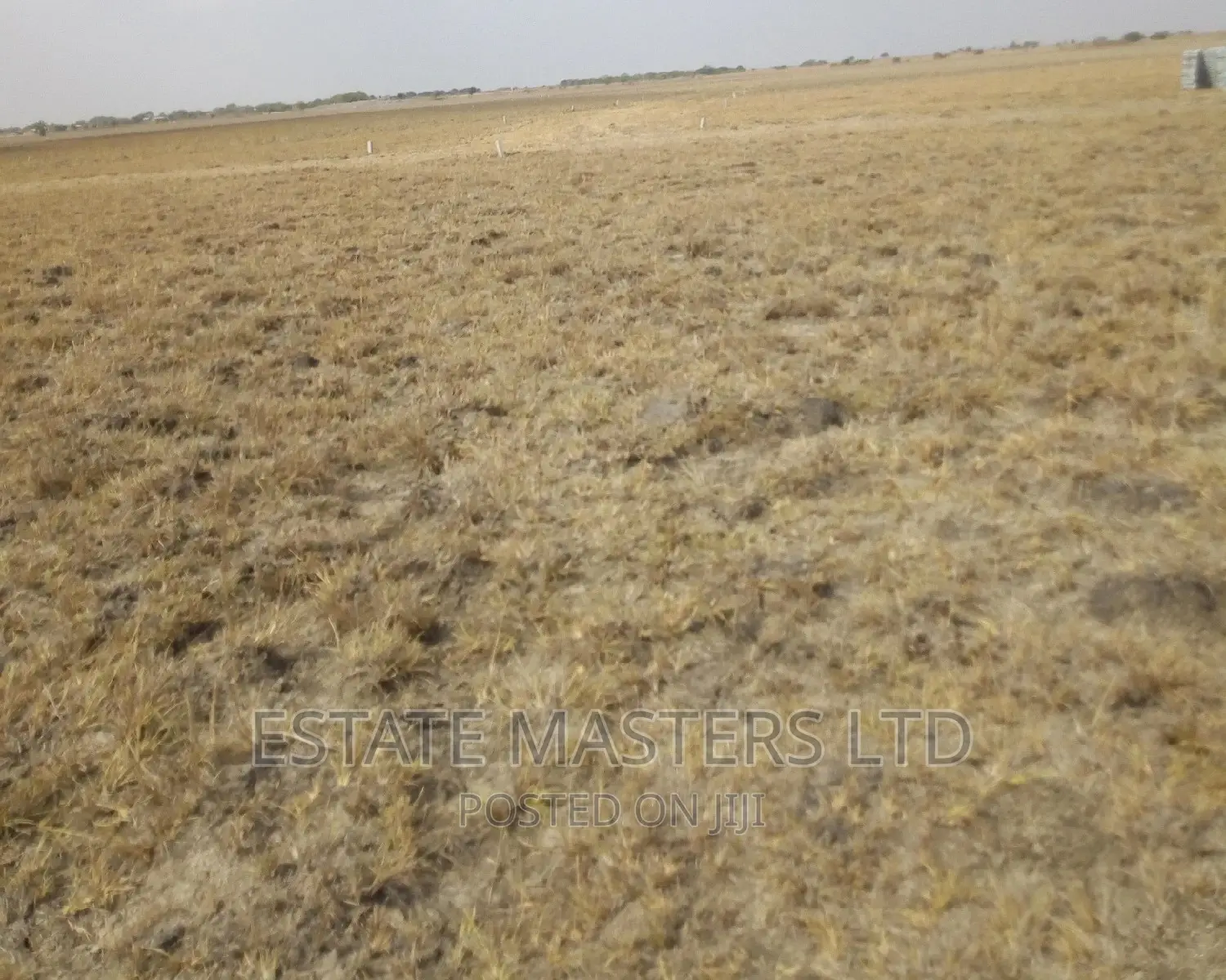 Land Guards Free