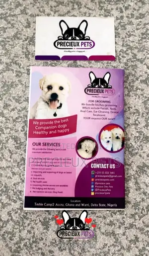 Puppies And Adult Medical Record Cards