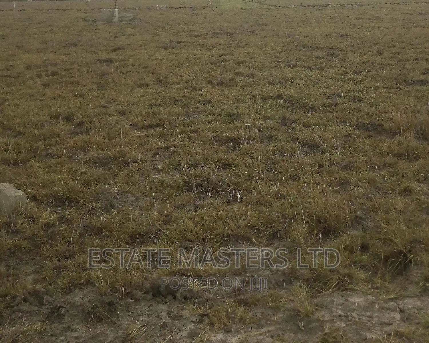 Serene Environment Plots on Promo