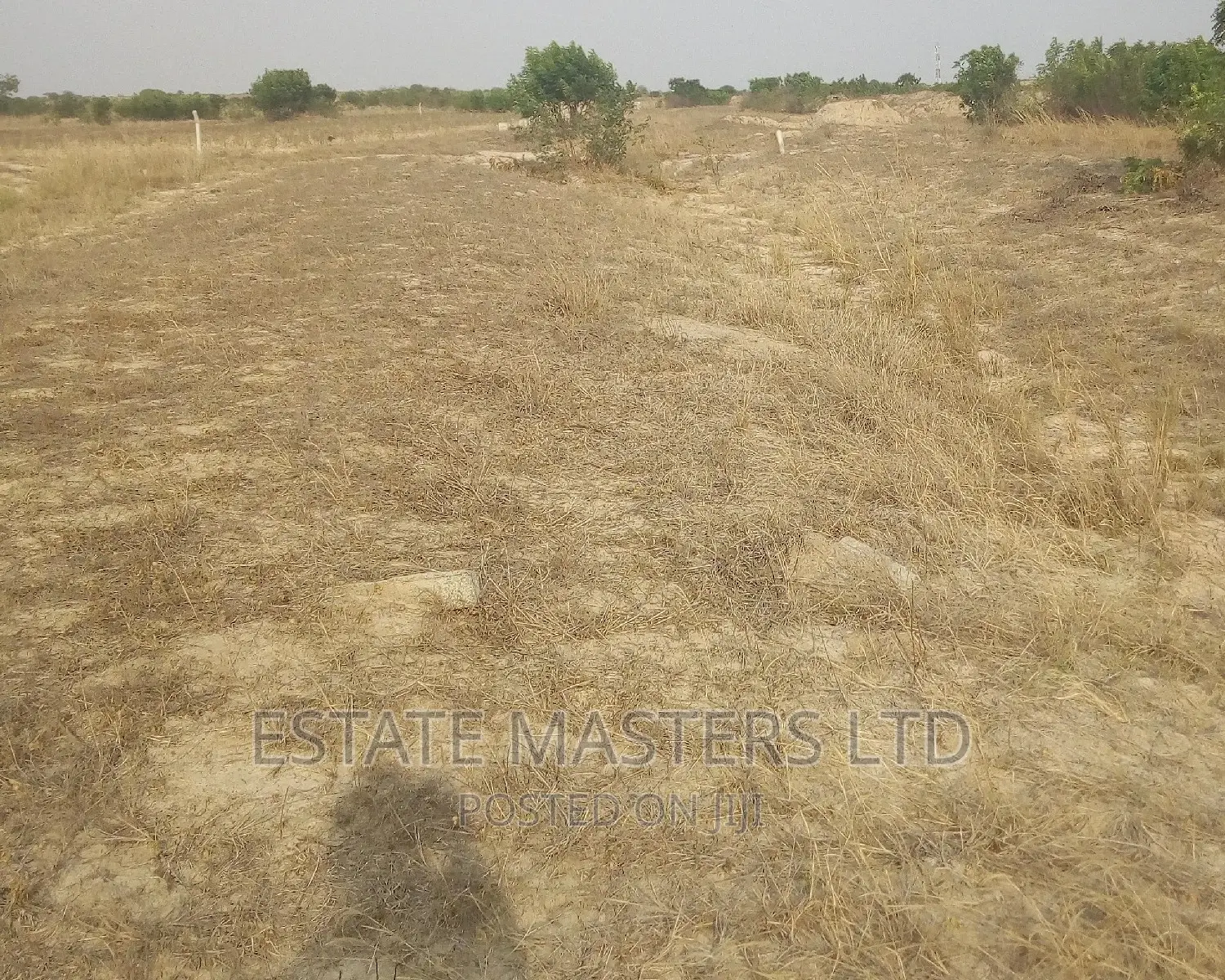 Serene Environment Plots on Promo
