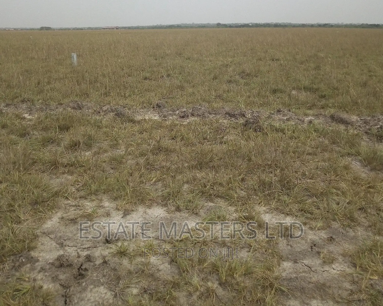 Plots Fully Registered