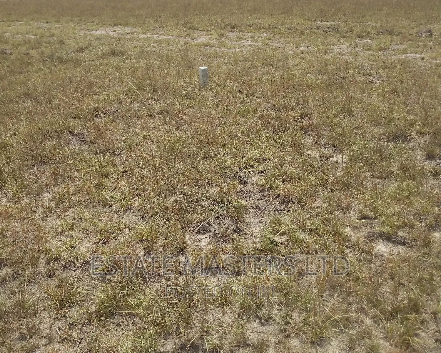 Plots Fully Registered