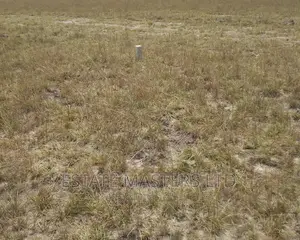 Plots Fully Registered