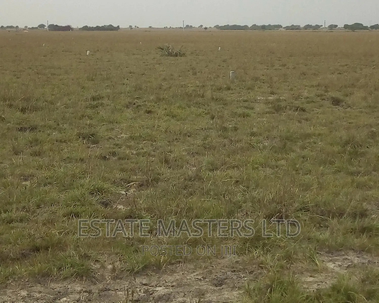 Plots 4 Sale
