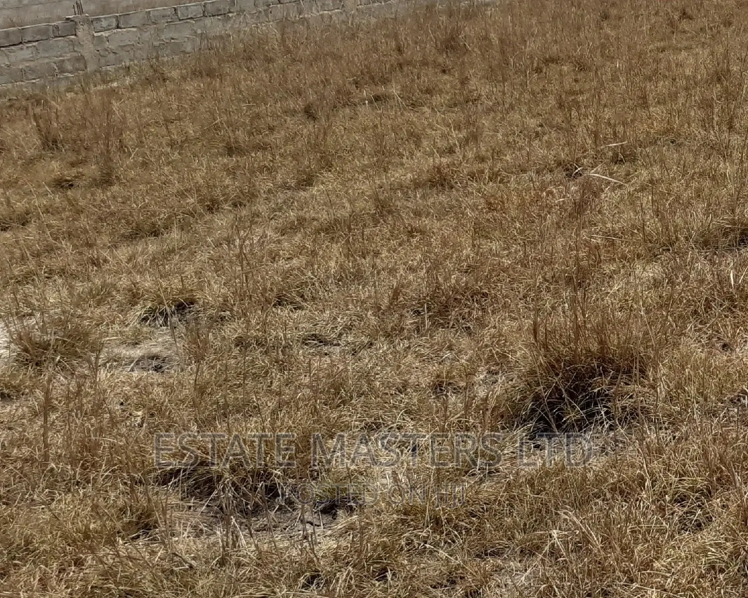 Plots 4 Sale