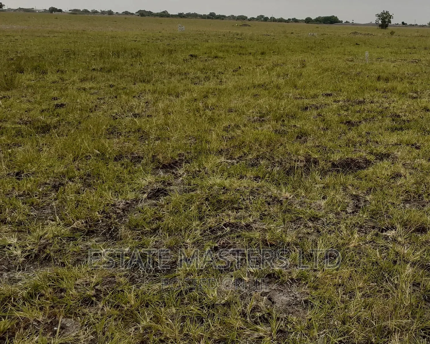 Land Titled for Sale