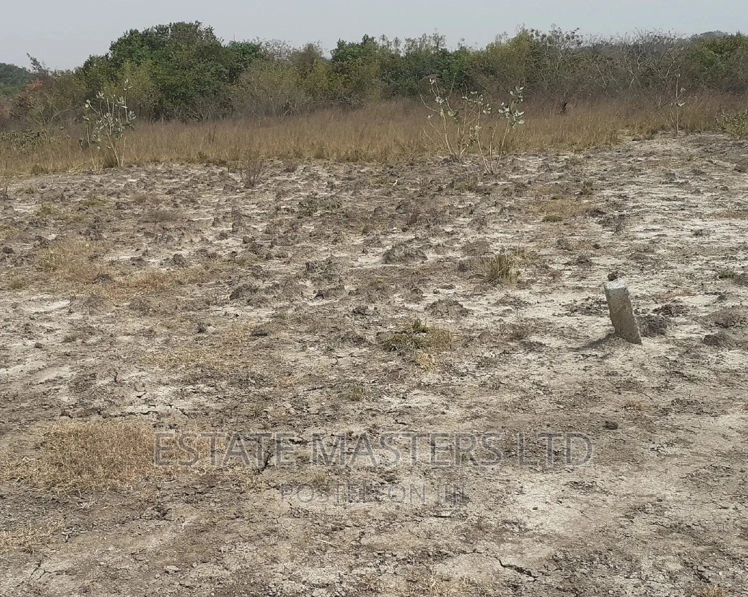 Distinctive Reduced Area Plot