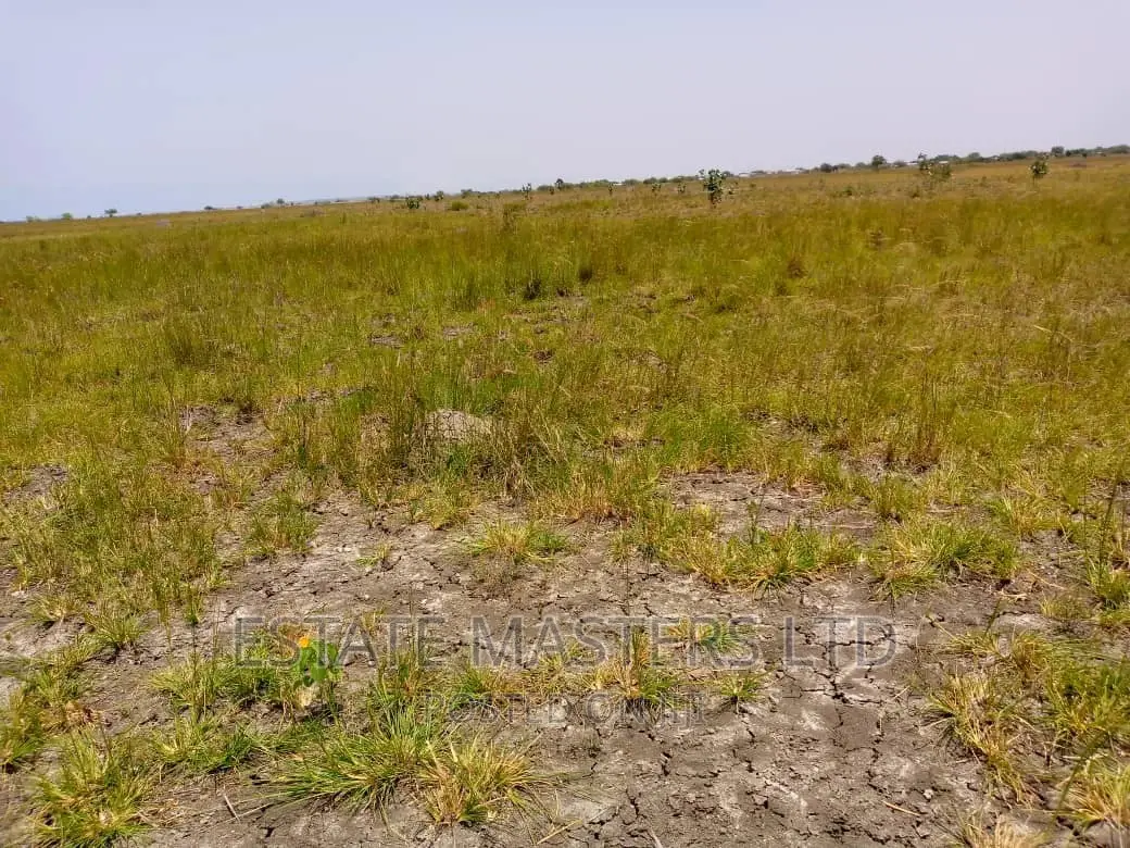 Low Priced Plots