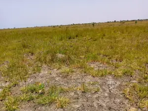 Low Priced Plots