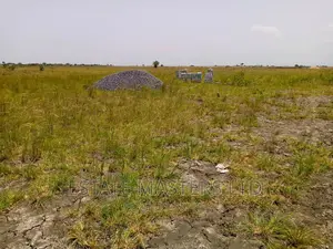 Low Priced Plots