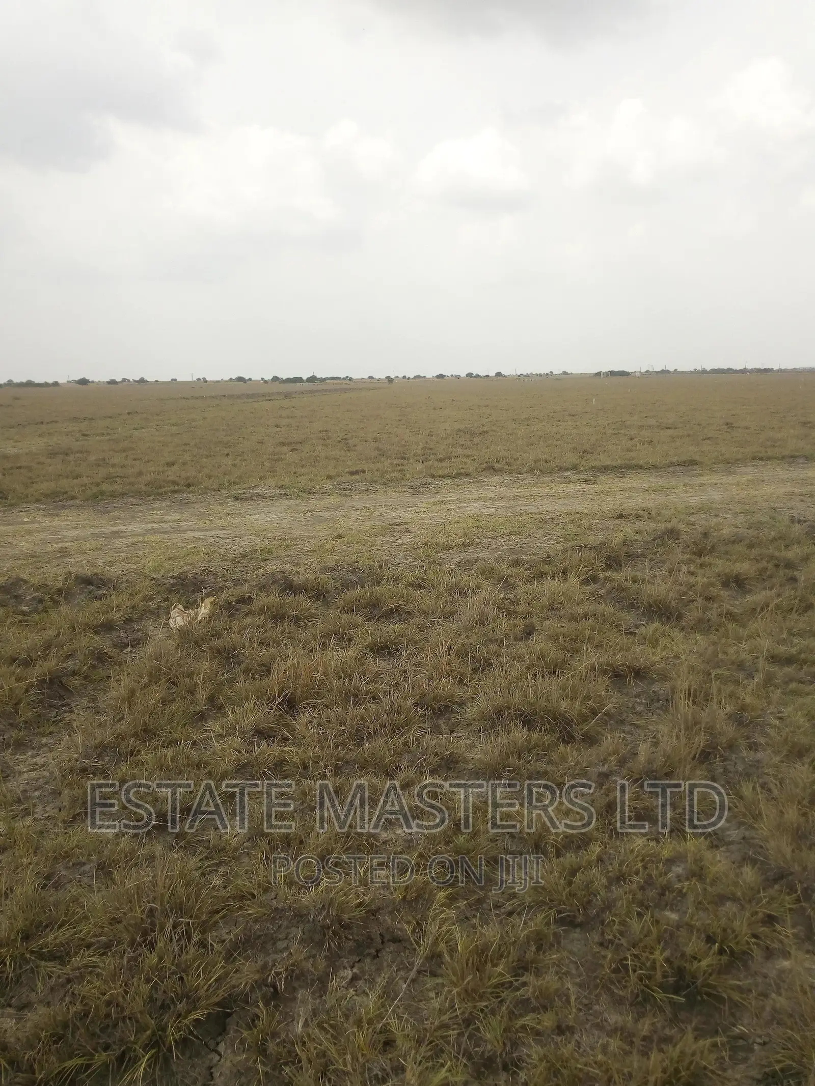 Land Investment