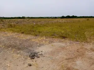 Tsopoli Tsopoli Estate Sales-New Airport City