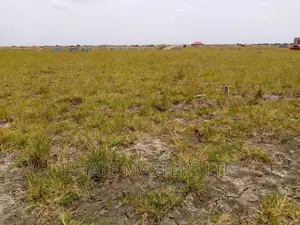 Tsopoli Tsopoli Estate Sales-New Airport City