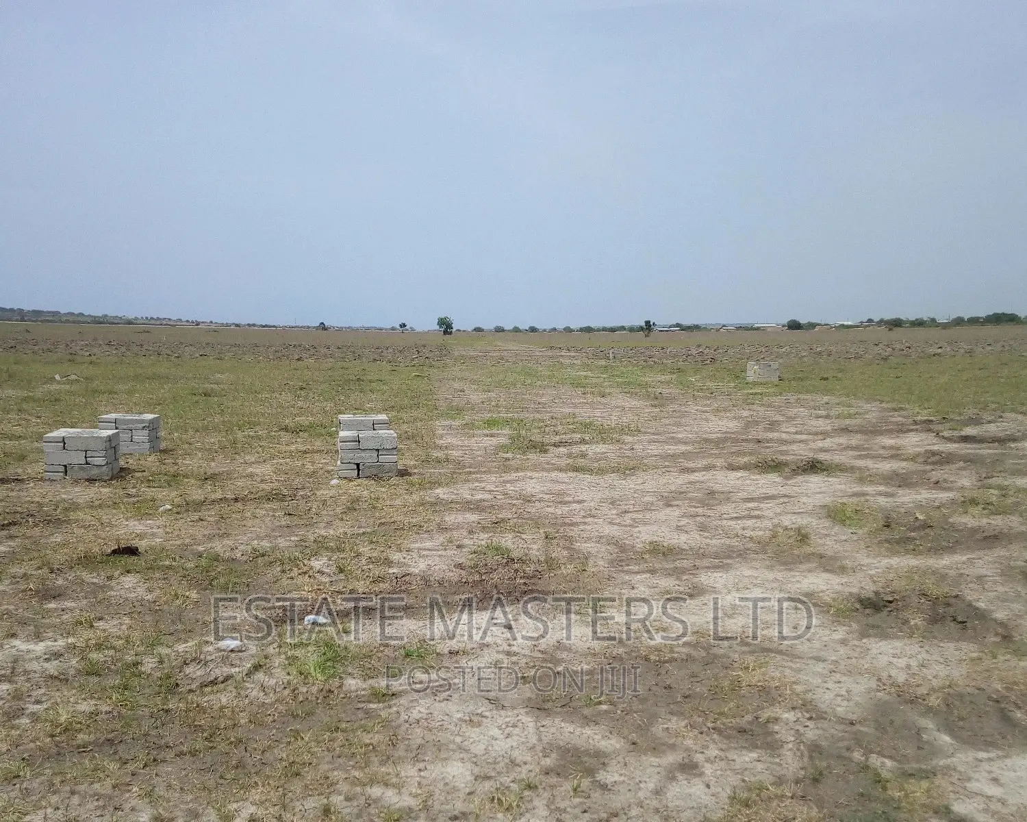 100x100 Plots