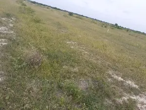 100x100 Plots