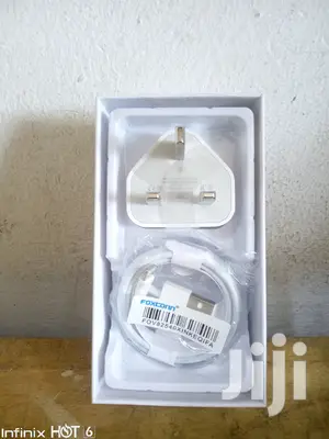 iPhone Chargers