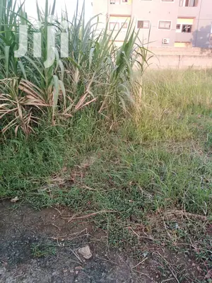 Neat Land at Pillar 2 for Sale at 350,000 Is Nigotable