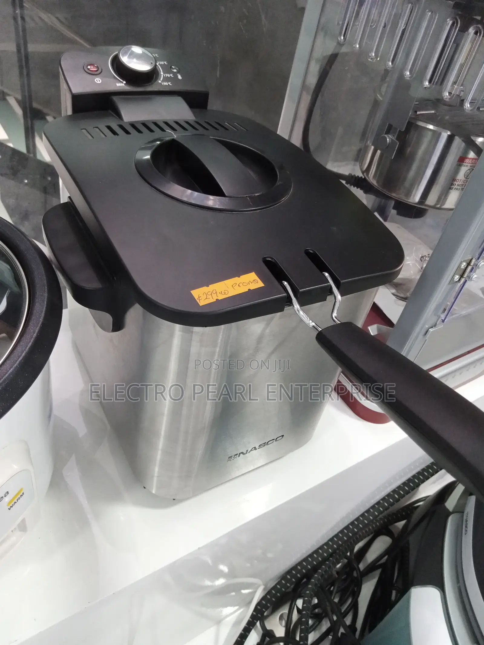Nasco Deep Fryer
