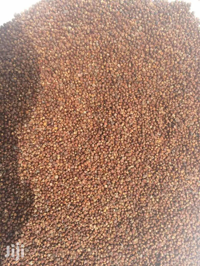 Grains of Paradise (Aligator Pepper)