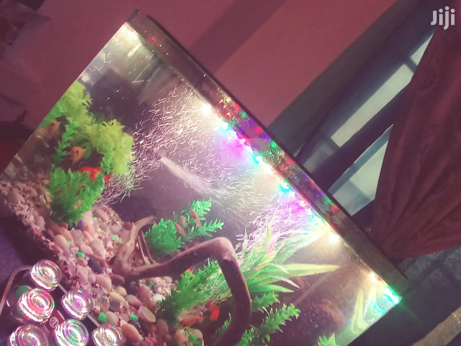 Aquarium Complete Setup