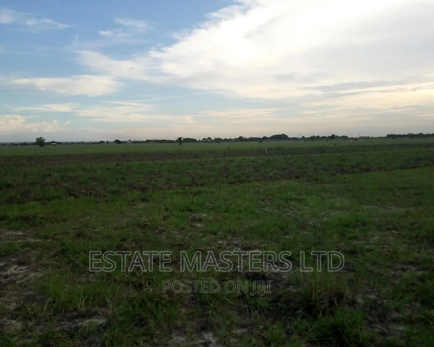 Rush Land at New Airport City Sales