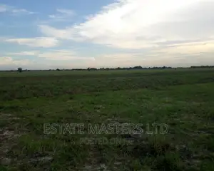 Rush Land at New Airport City Sales