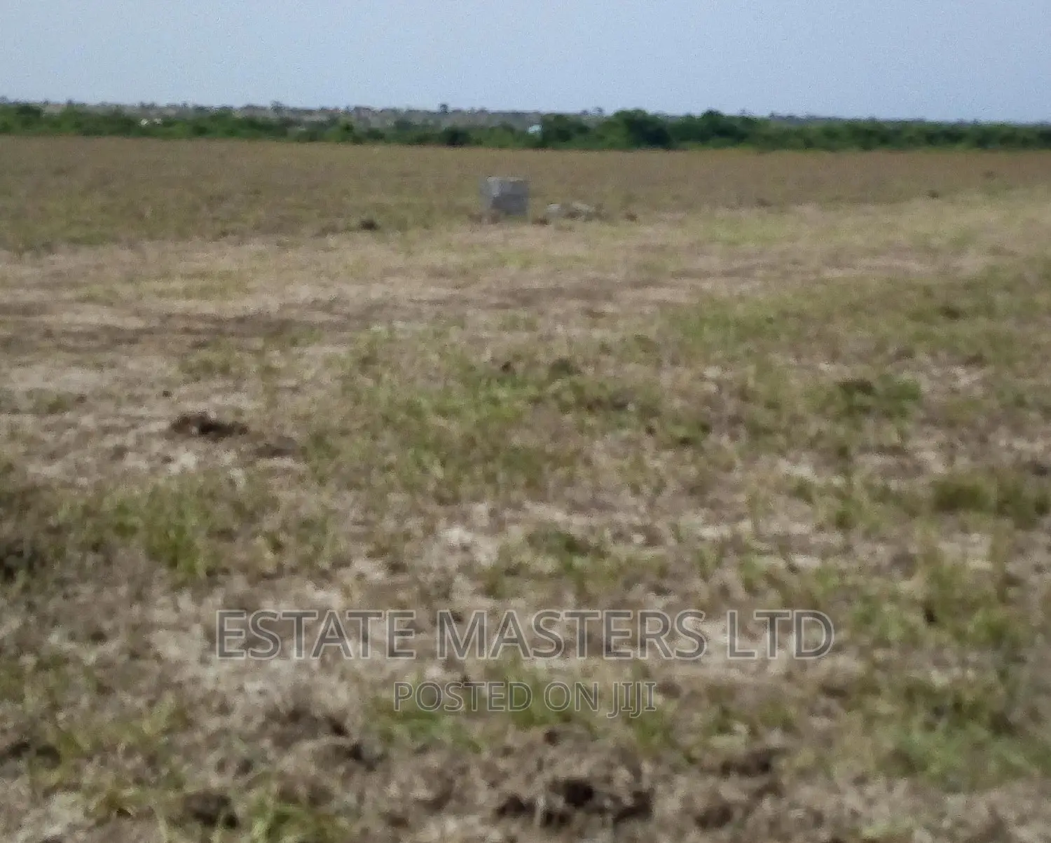 Rush Land at New Airport City Sales