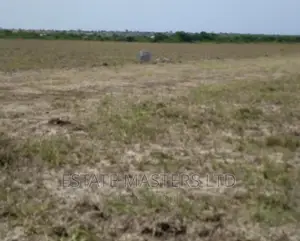 Rush Land at New Airport City Sales