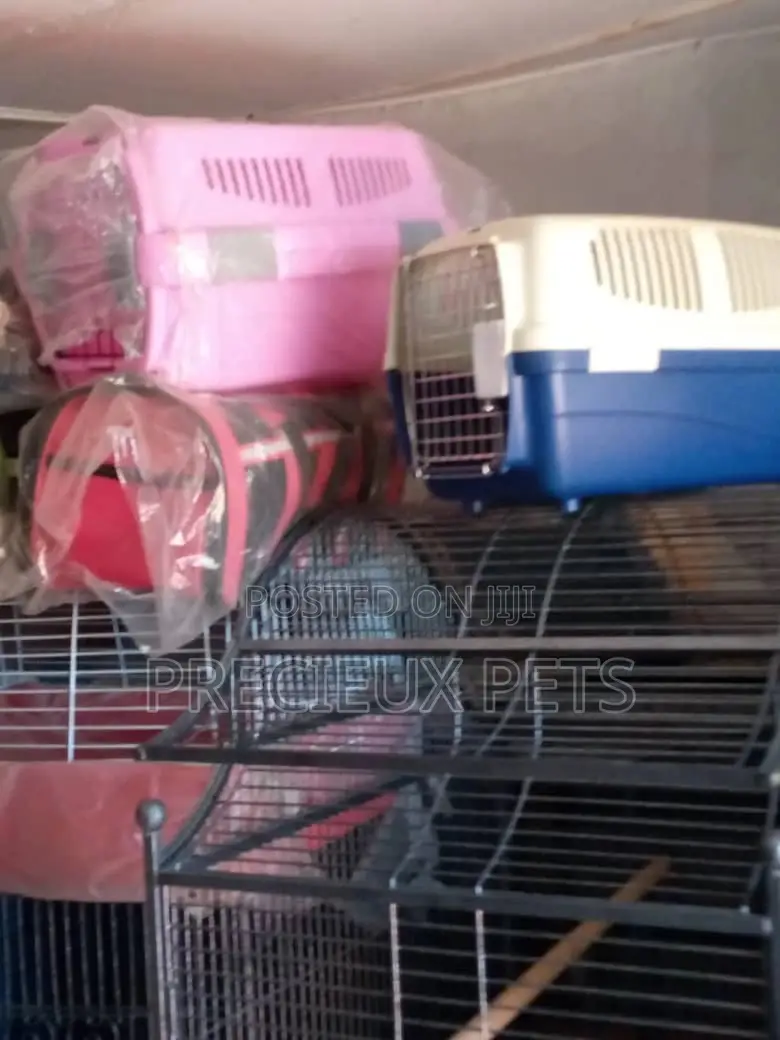 Plastic Crate For Puppies And Toy Dogs