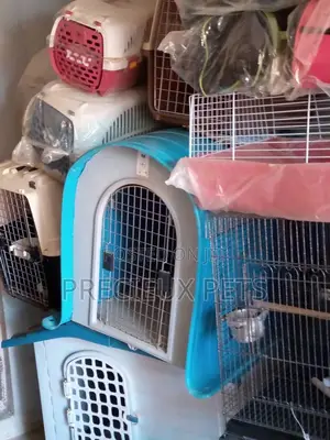 Plastic Crate For Puppies And Toy Dogs