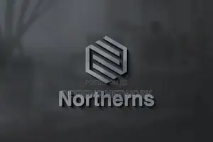 Professional Logo Designer